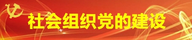 社会组织党的建设